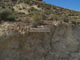 Castillo de Alcala 2009